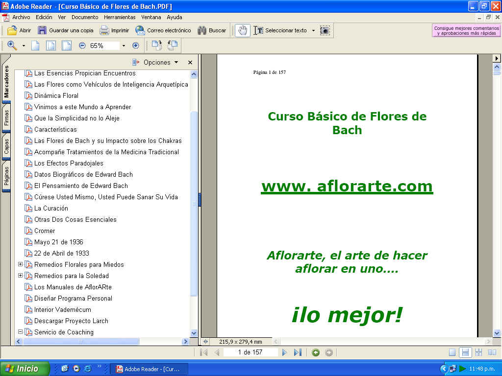 curso básico de Flores de Bach